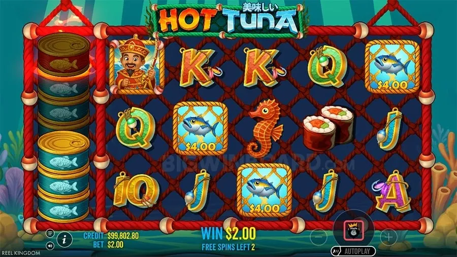 nustargame Responsible Gaming