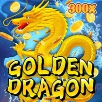 Optimized Performance Icon